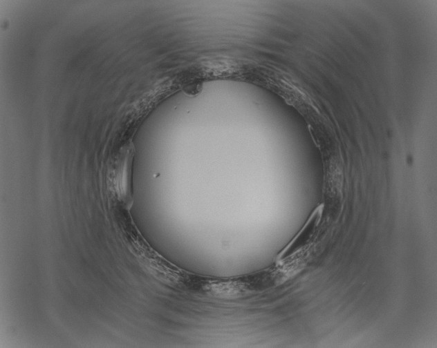 X0000068310417200605051536