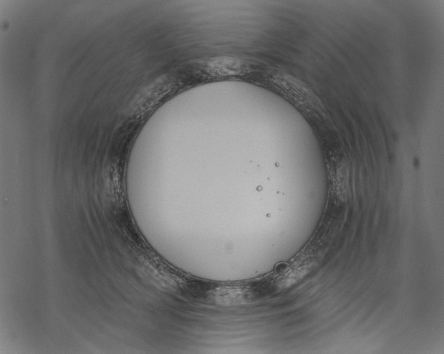 X0000068310418200605051536