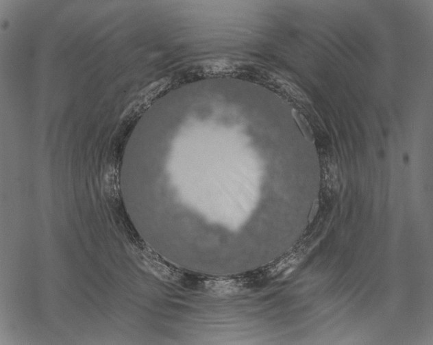 X0000068310419200605051536