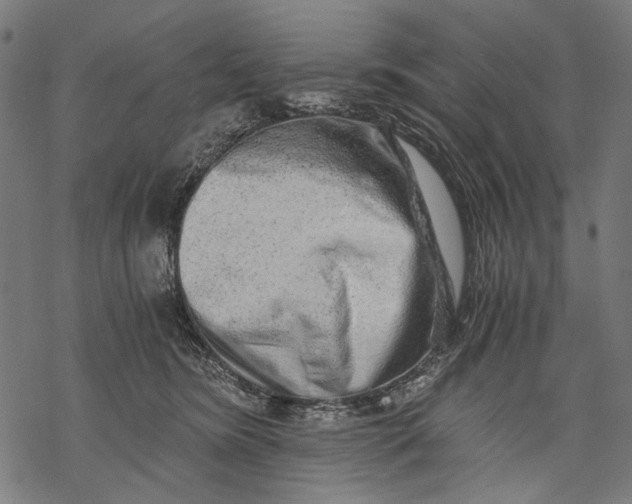 X0000068310420200605051536