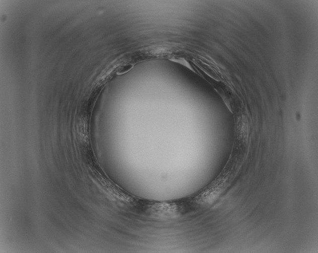 X0000068310421200605051536