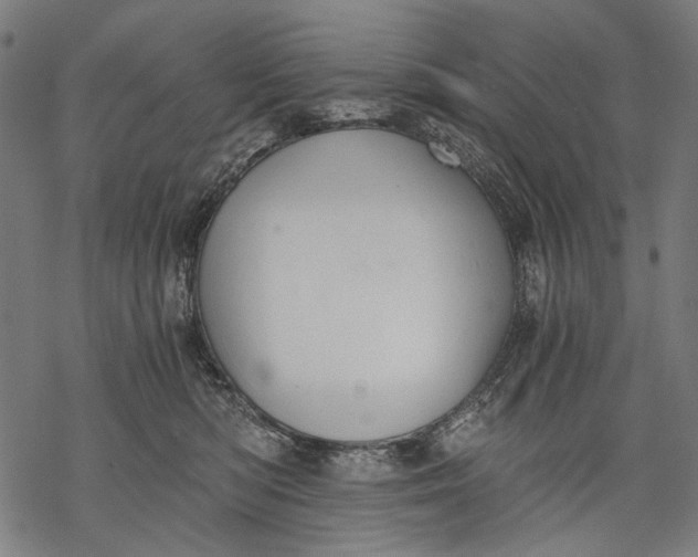 X0000068310422200605051536