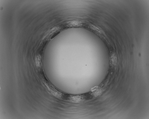 X0000068310423200605051535