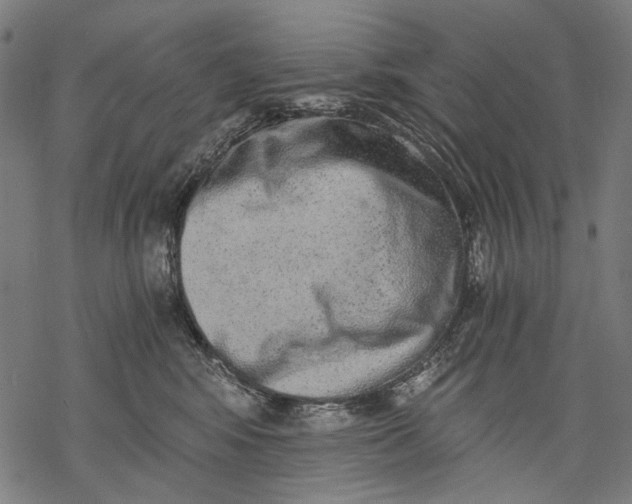 X0000068310424200605051535