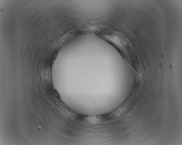 X0000068310425200605051535