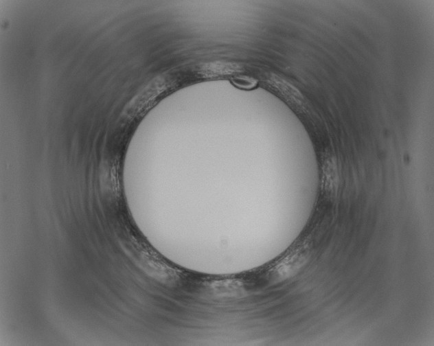 X0000068310426200605051535