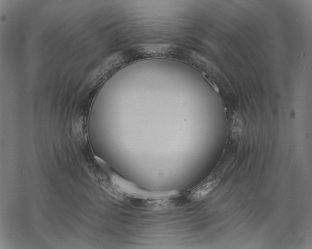 X0000068310428200605051535