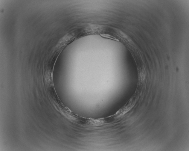 X0000068310429200605051535