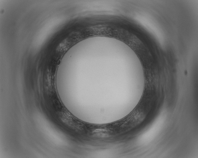 X0000068310430200605051535