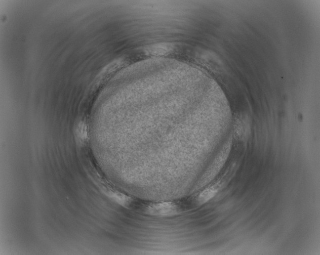 X0000068310431200605051535