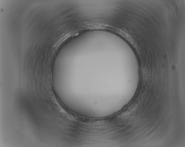 X0000068310433200605051535