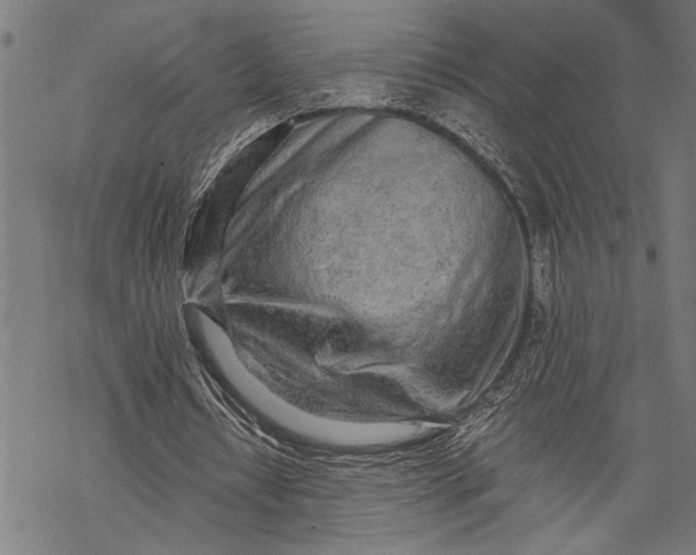 X0000068310434200605051535