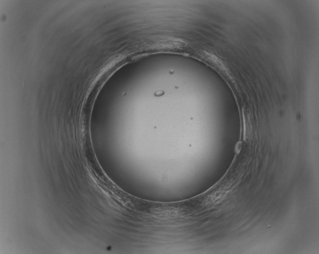 X0000068310435200605051535