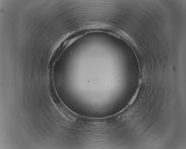 X0000068310436200605051535