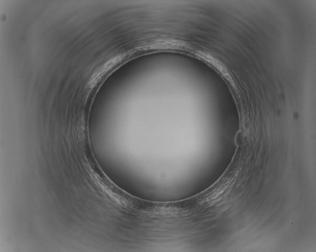 X0000068310437200605051535