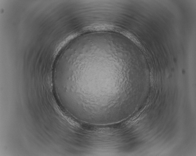 X0000068310438200605051535