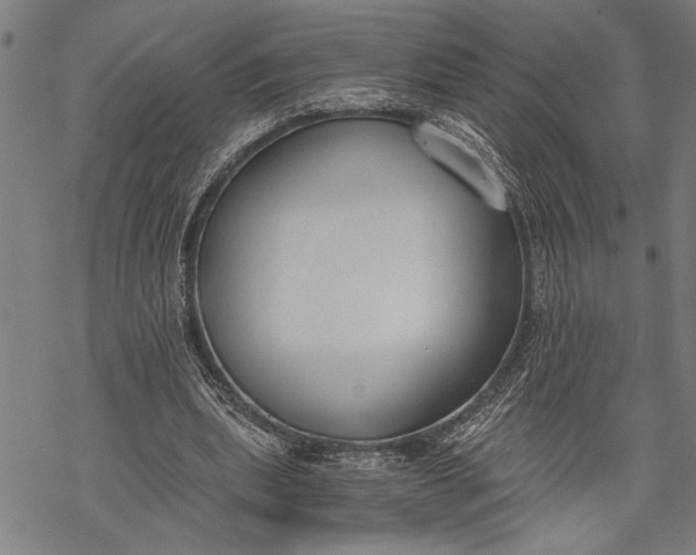 X0000068310439200605051535