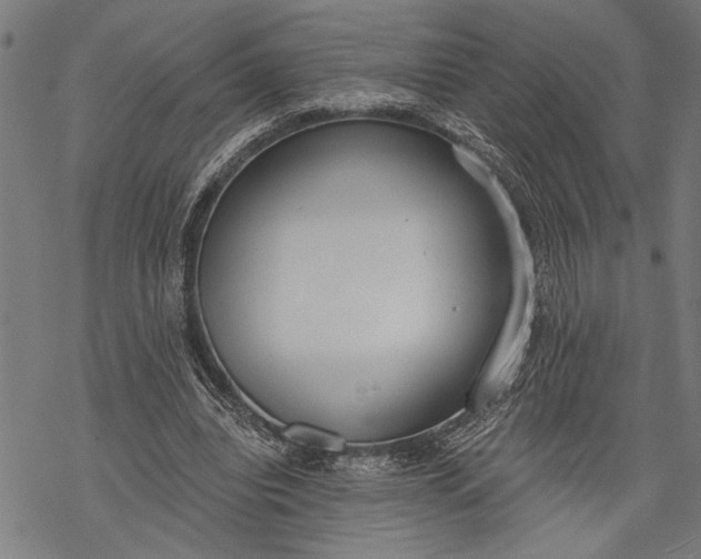 X0000068310440200605051535