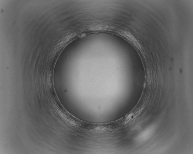 X0000068310441200605051535