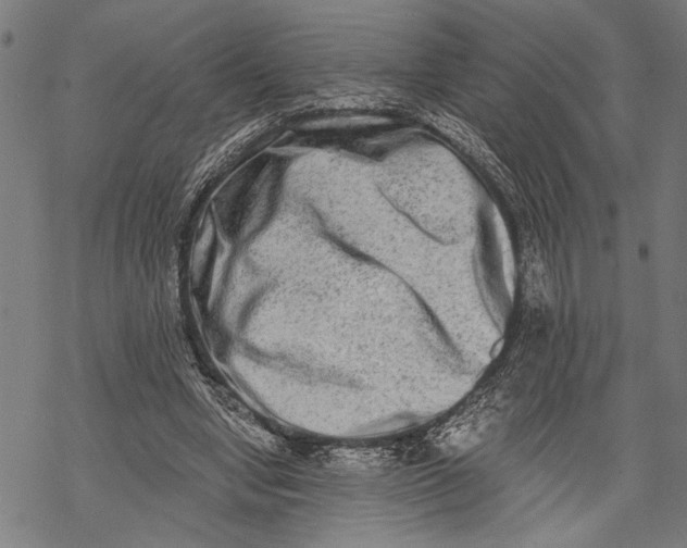 X0000068310442200605051535