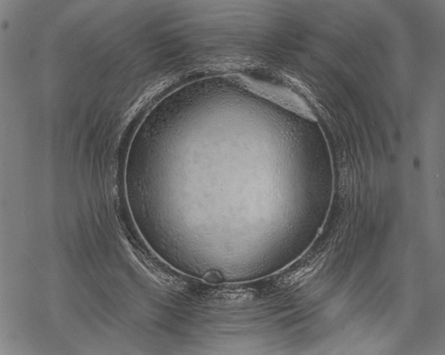 X0000068310443200605051535