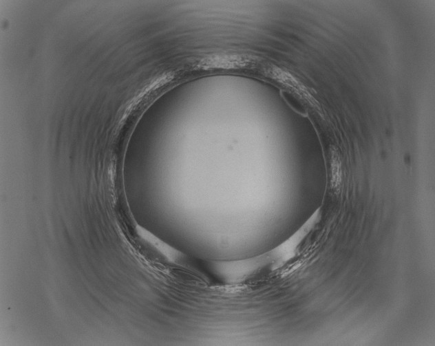 X0000068310444200605051535