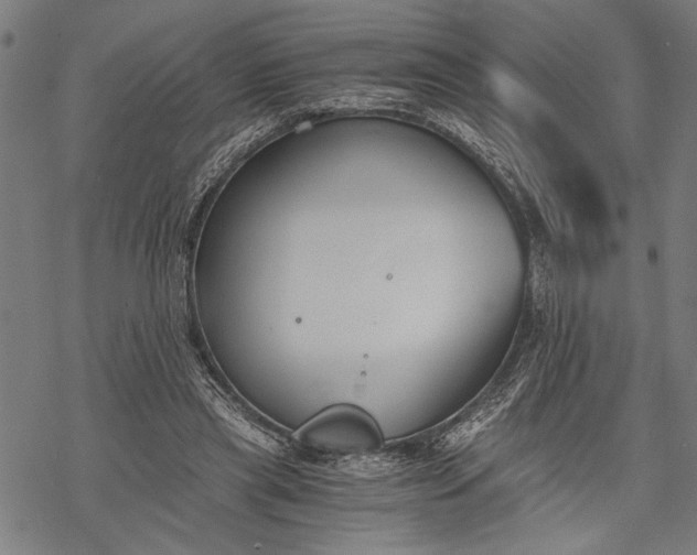 X0000068310445200605051535