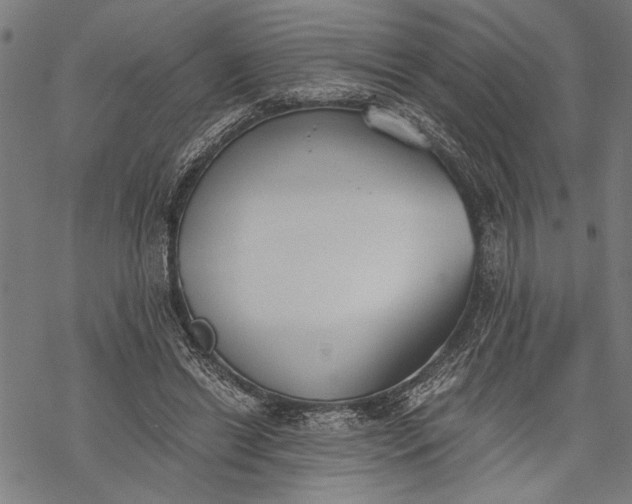 X0000068310446200605051535