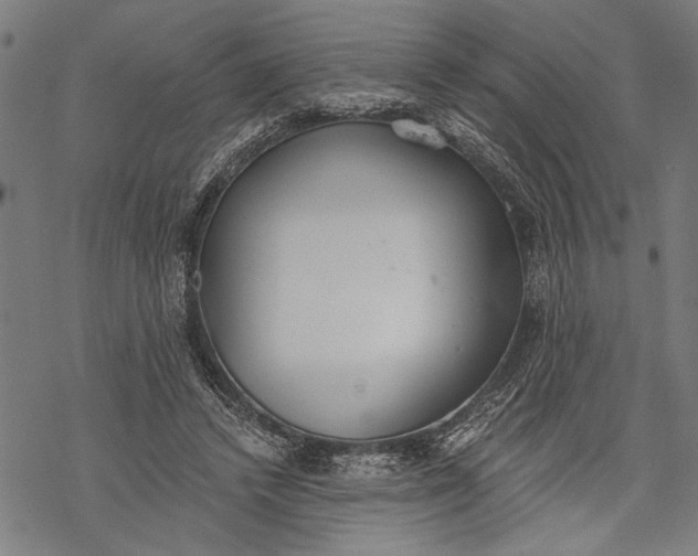 X0000068310448200605051535