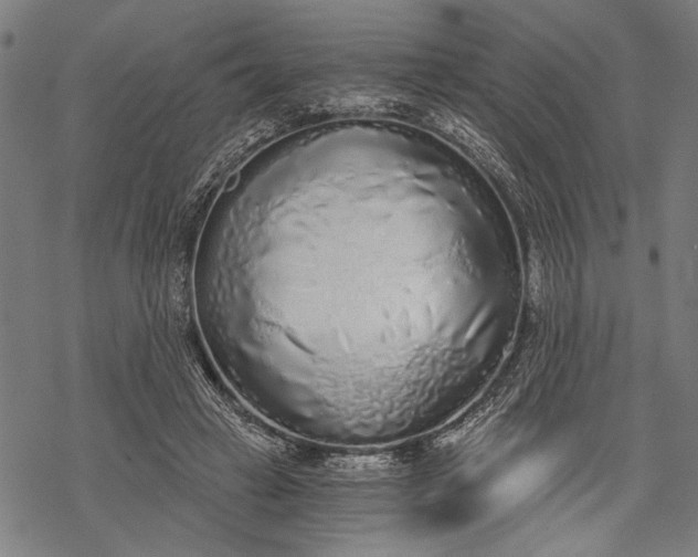 X0000068310449200605051535