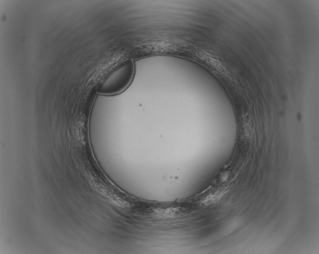 X0000068310450200605051535