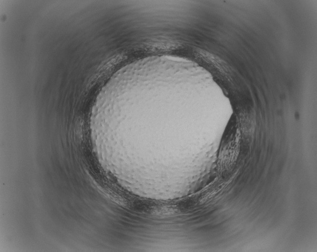 X0000068310451200605051535