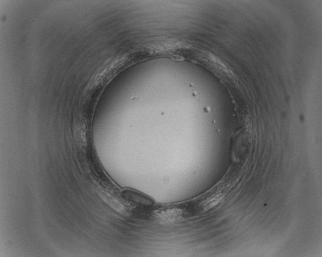 X0000068310452200605051535