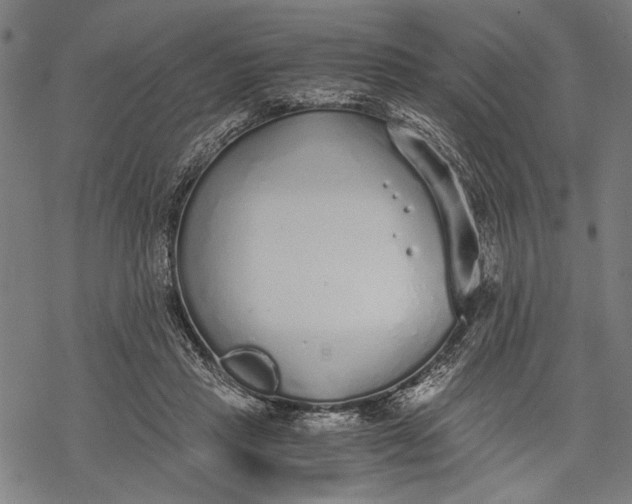 X0000068310453200605051535