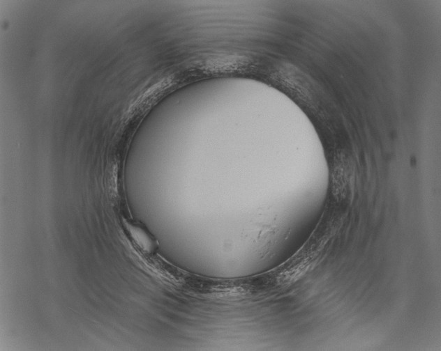 X0000068310454200605051535