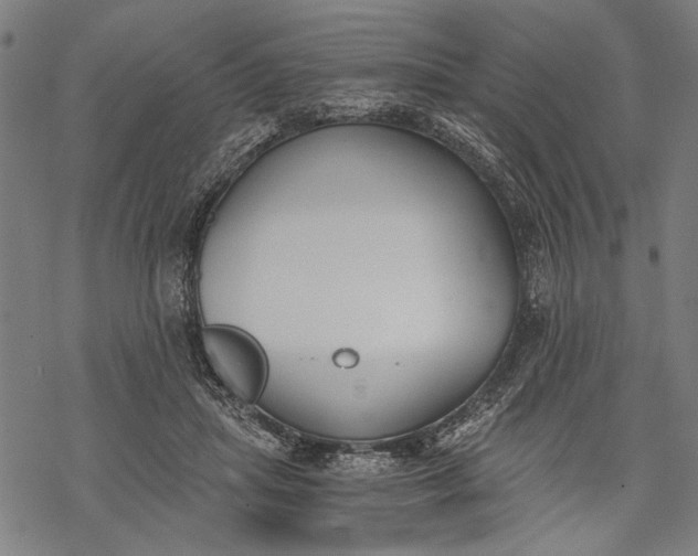 X0000068310455200605051535