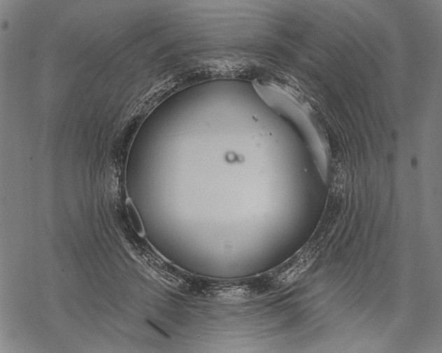 X0000068310456200605051535