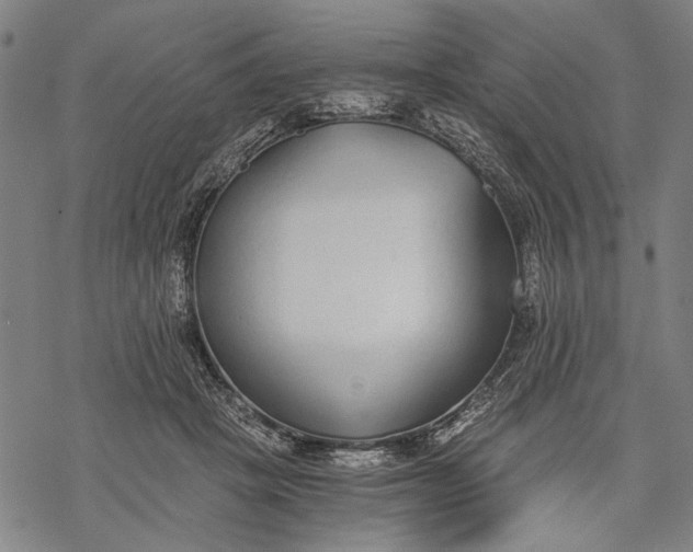 X0000068310457200605051535