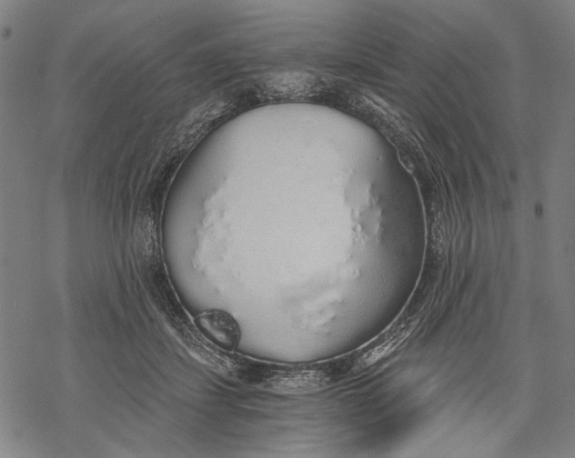 X0000068310459200605051535