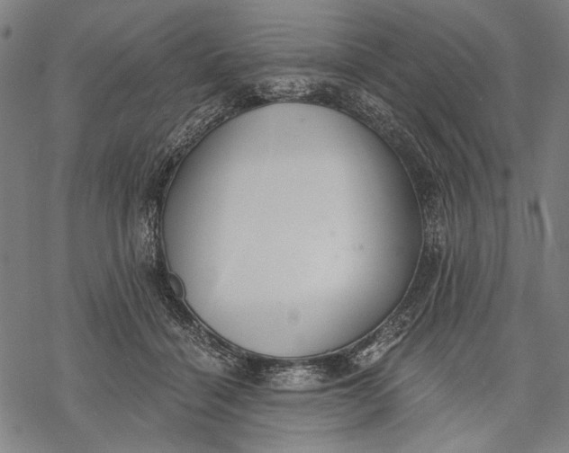 X0000068310460200605051535