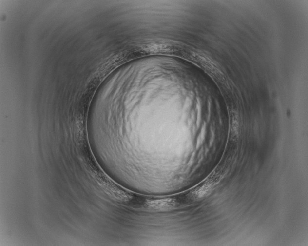 X0000068310461200605051535