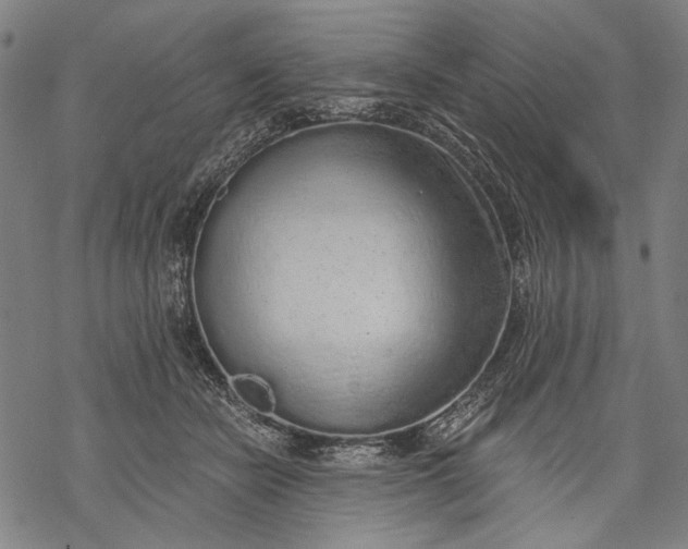 X0000068310462200605051535