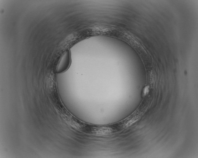 X0000068310463200605051535