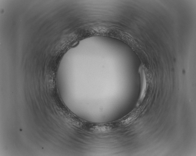 X0000068310464200605051535