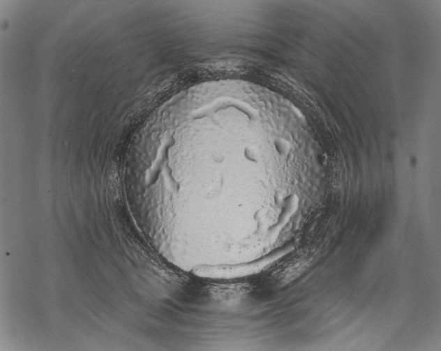 X0000068310465200605051535