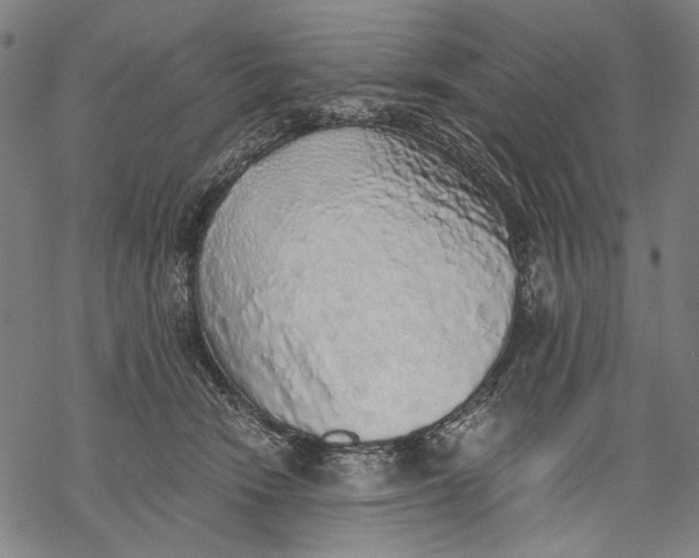 X0000068310466200605051535