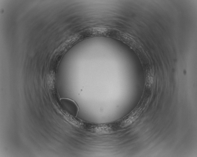 X0000068310468200605051535