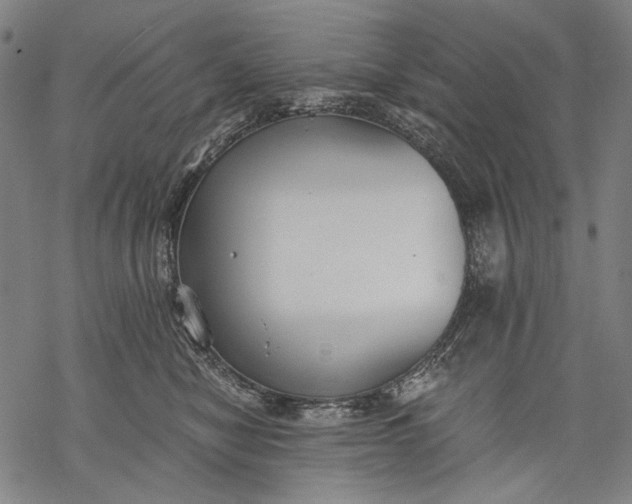 X0000068310470200605051535