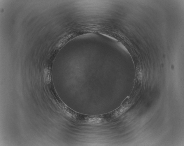 X0000068310471200605051535