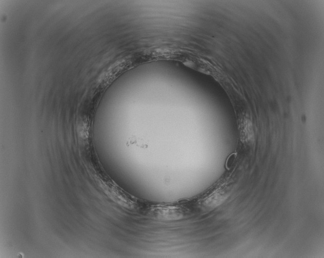 X0000068310472200605051535